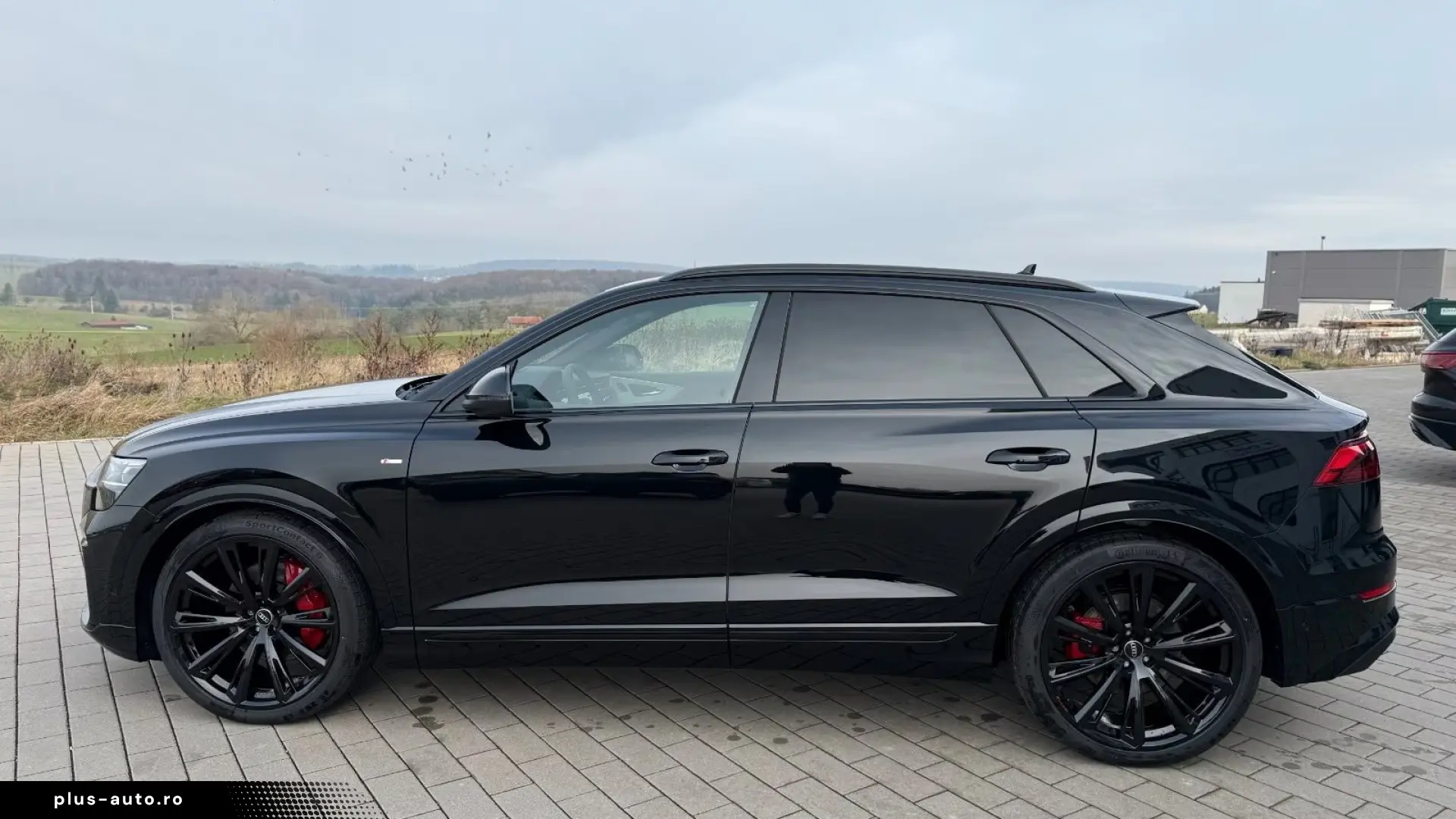 Audi Q8 TDI  STANDHEIZUNG AHK PANO HUD B&O