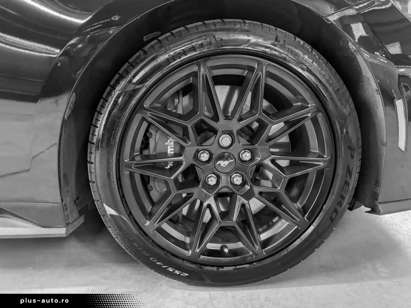 FORD Mustang Mustang Fastback 5.0 V8 GT  MAGNERIDE