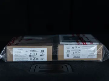 PORSCHE Cayenne S E-Hybrid SportDesign DVD im Fond AHK