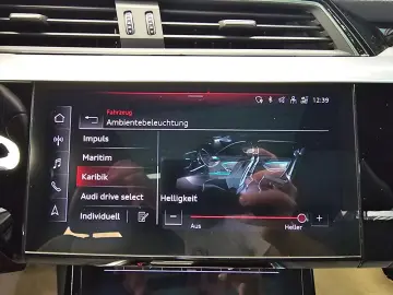 AUDI etron 55 S-Line AHK Pano-Dach Kamera Head-Up