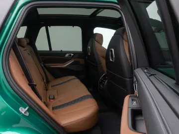 BMW X5 M Competition Individual Green over Brown Panorama