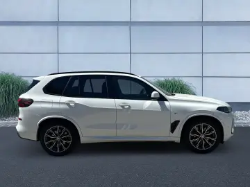 BMW X5 xDrive30d M Sportpaket Gestiksteuerung DAB
