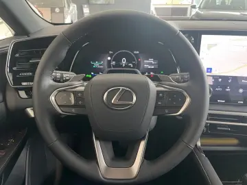 Lexus RX450 h  E-FOUR F Sport Design Trapa 360 Ventilatie