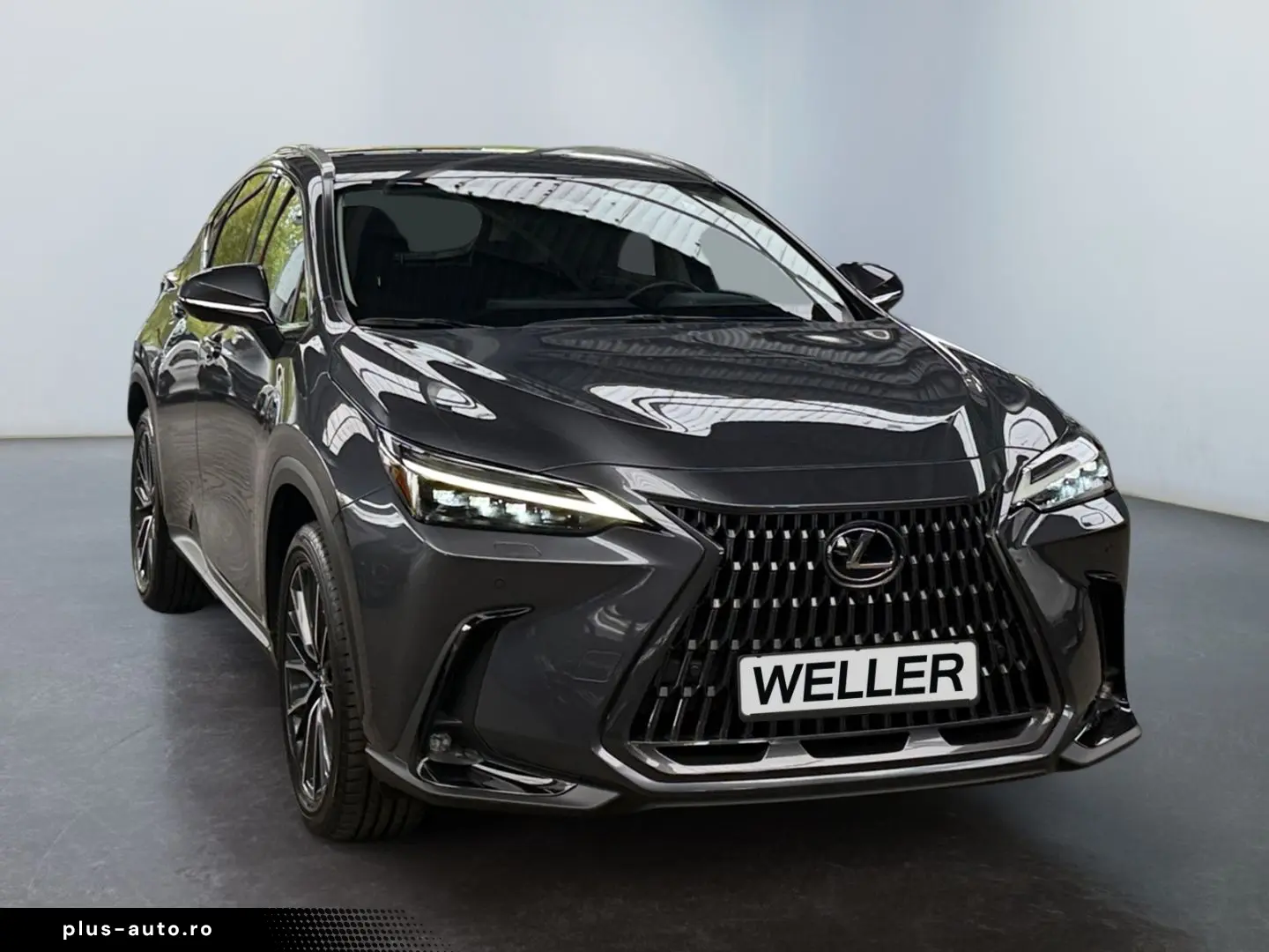 LEXUS NX 450h  E-FOUR Luxury Paket  Matrix 360  HUD