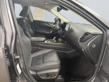 LEXUS NX 450h  E-FOUR Luxury Paket  Matrix 360  HUD