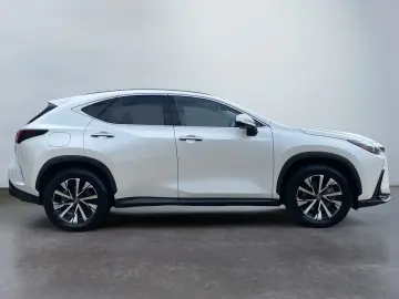LEXUS NX 450h  Luxury Line E-Four  360