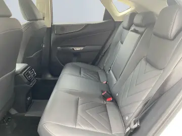 LEXUS NX 450h  Luxury Line E-Four  360