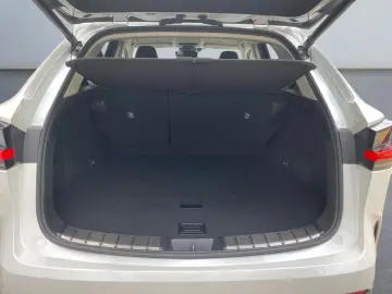 LEXUS NX 450h  Luxury Line E-Four  360
