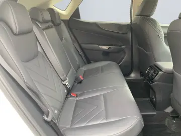 LEXUS NX 450h  Luxury Line E-Four  360