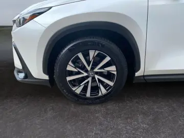 LEXUS NX 450h  Luxury Line E-Four  360