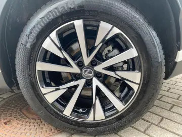 LEXUS NX 450h  Luxury Line E-Four  360