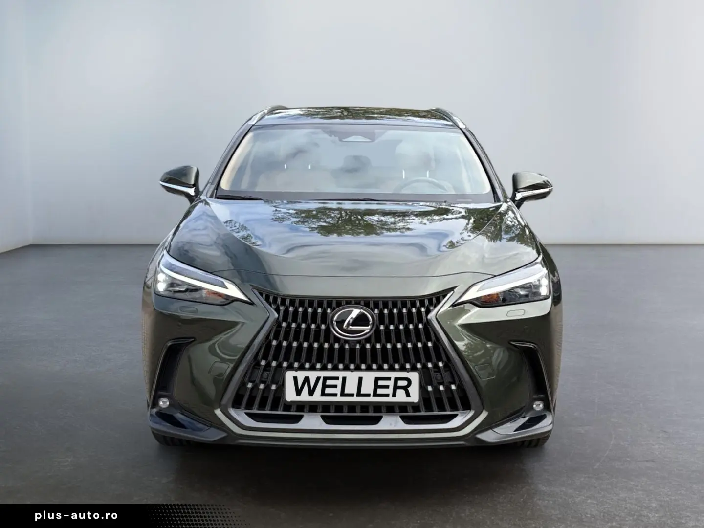 LEXUS NX 450h  E-FOUR Executive Line  HUD 360