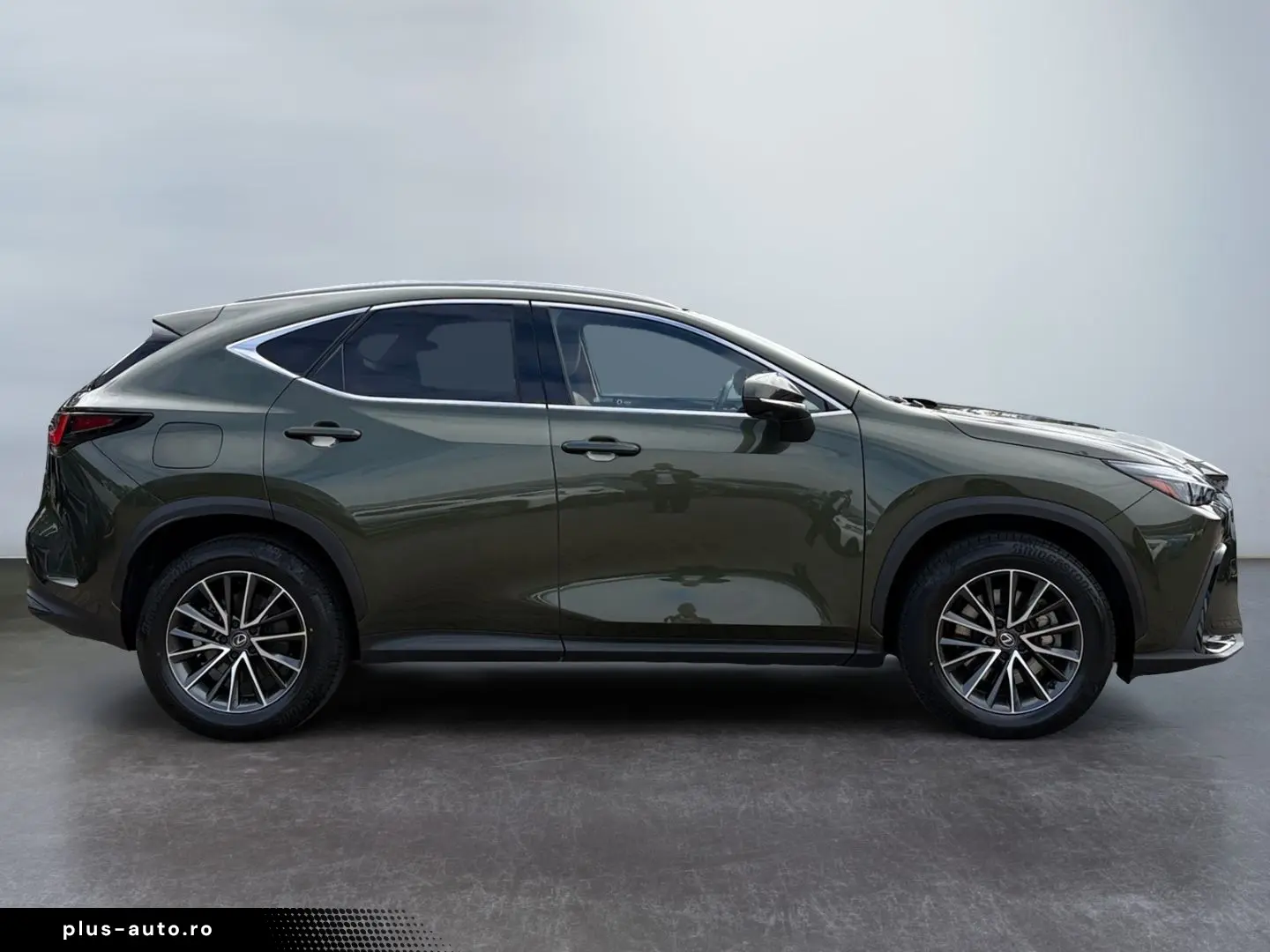 LEXUS NX 450h  E-FOUR Executive Line  HUD 360