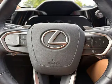 LEXUS NX 450h  E-FOUR Executive Line  HUD 360