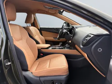 LEXUS NX 450h  E-FOUR Executive Line  HUD 360