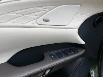 Lexus RX450h  E-Four Luxury 360 Pano Ventilatie