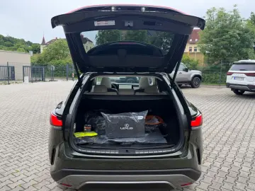 Lexus RX450h  E-Four Luxury 360 Pano Ventilatie