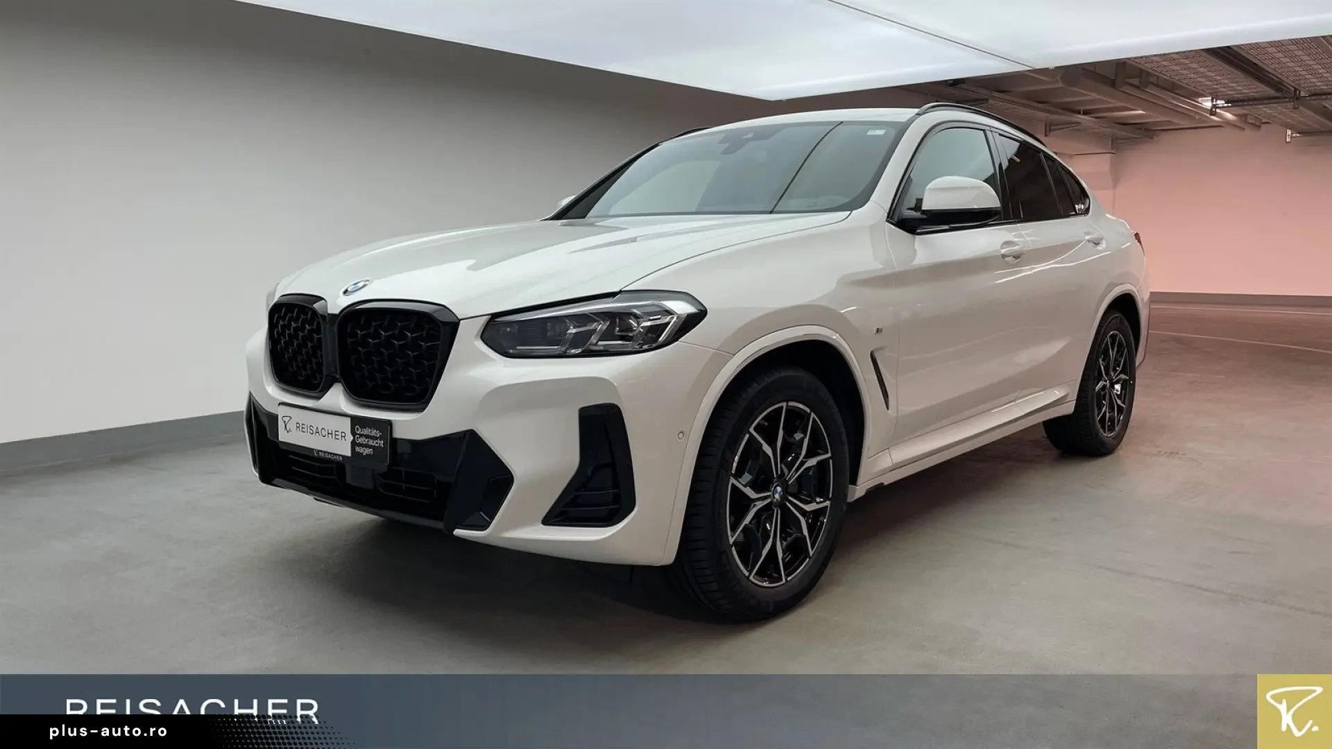 BMW X4 xDrive 20i A M-Sport LCProf ParkAs DrA LED