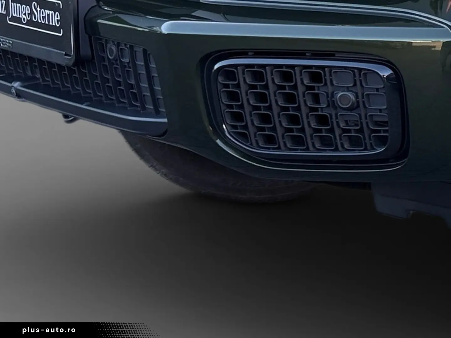 MERCEDES-BENZ G 450 d Exclusive Night StHzg SHD AHK &hellip;