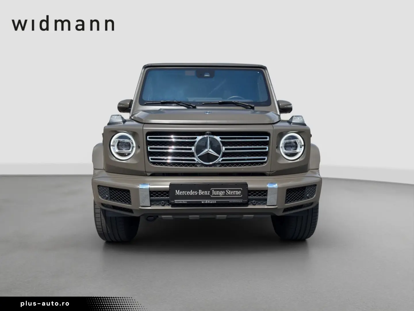 MERCEDES-BENZ G 500 AMG Sitzklima Assistenz Multibea&hellip;