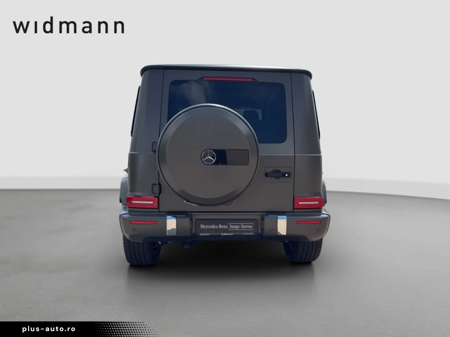 MERCEDES-BENZ G 500 AMG Sitzklima Assistenz Multibea&hellip;