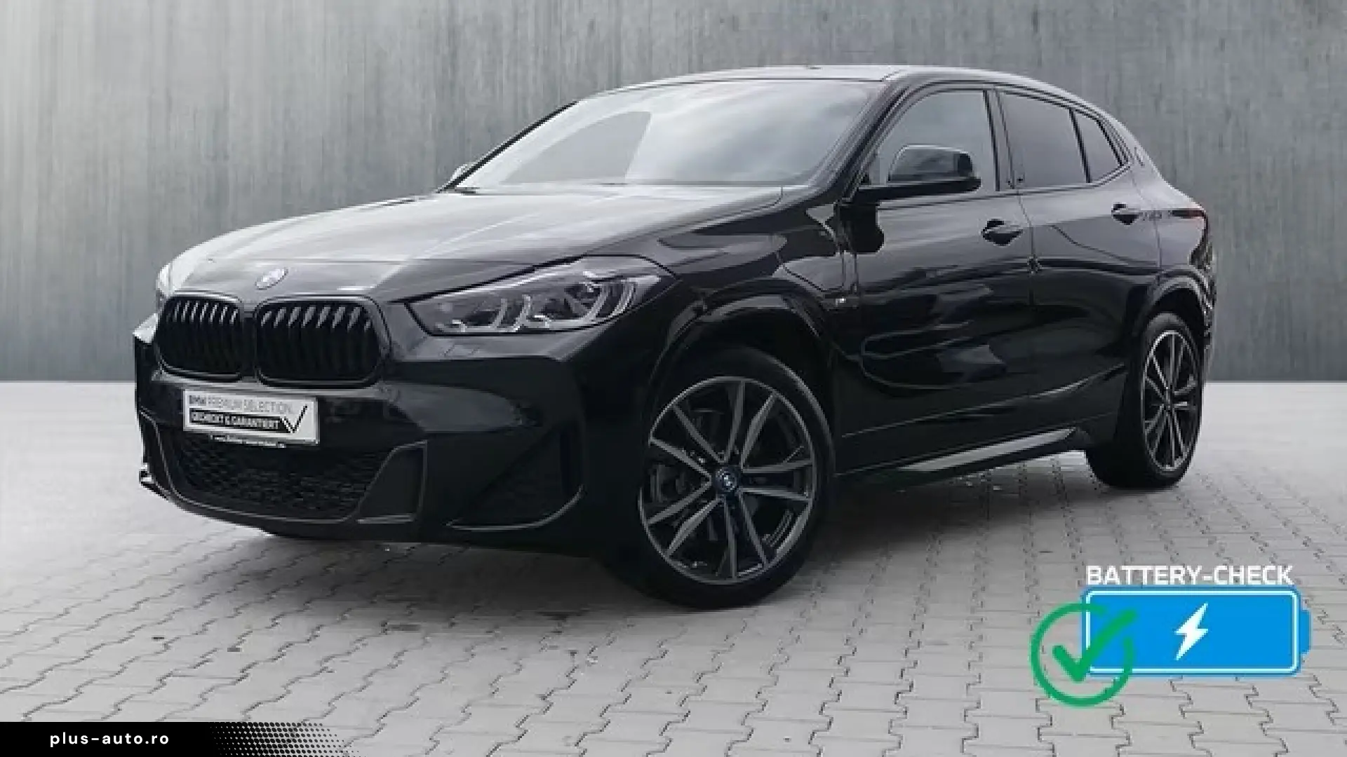 BMW X2 xDrive25e M Sport Pack Head-Up HK HiFi DAB