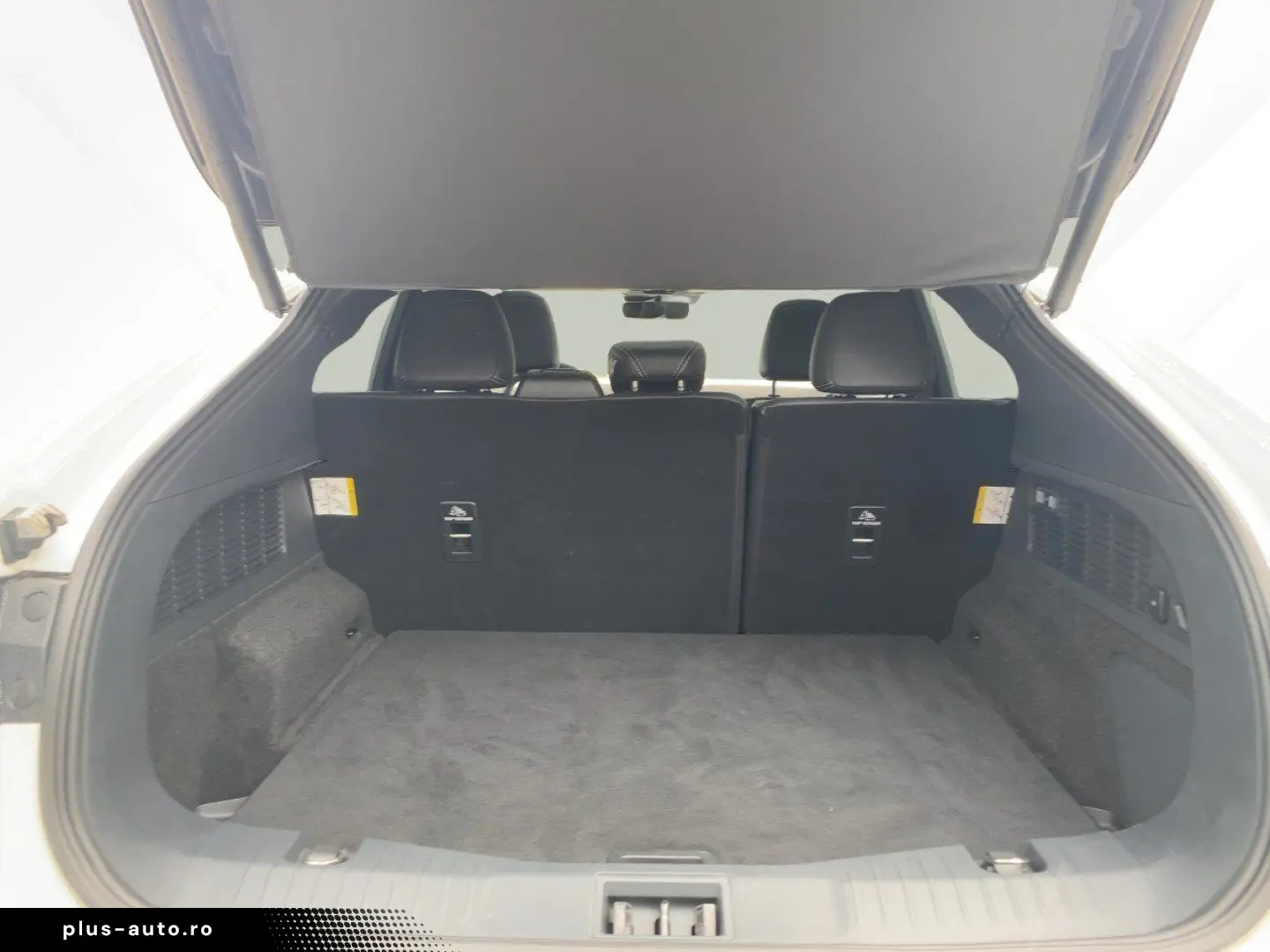 FORD Mustang Mach-E (Extended Range 99kWh) AHK CAM LM