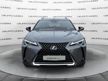 LEXUS Lexus UX UX 250h 2.0 Business 2wd cvt