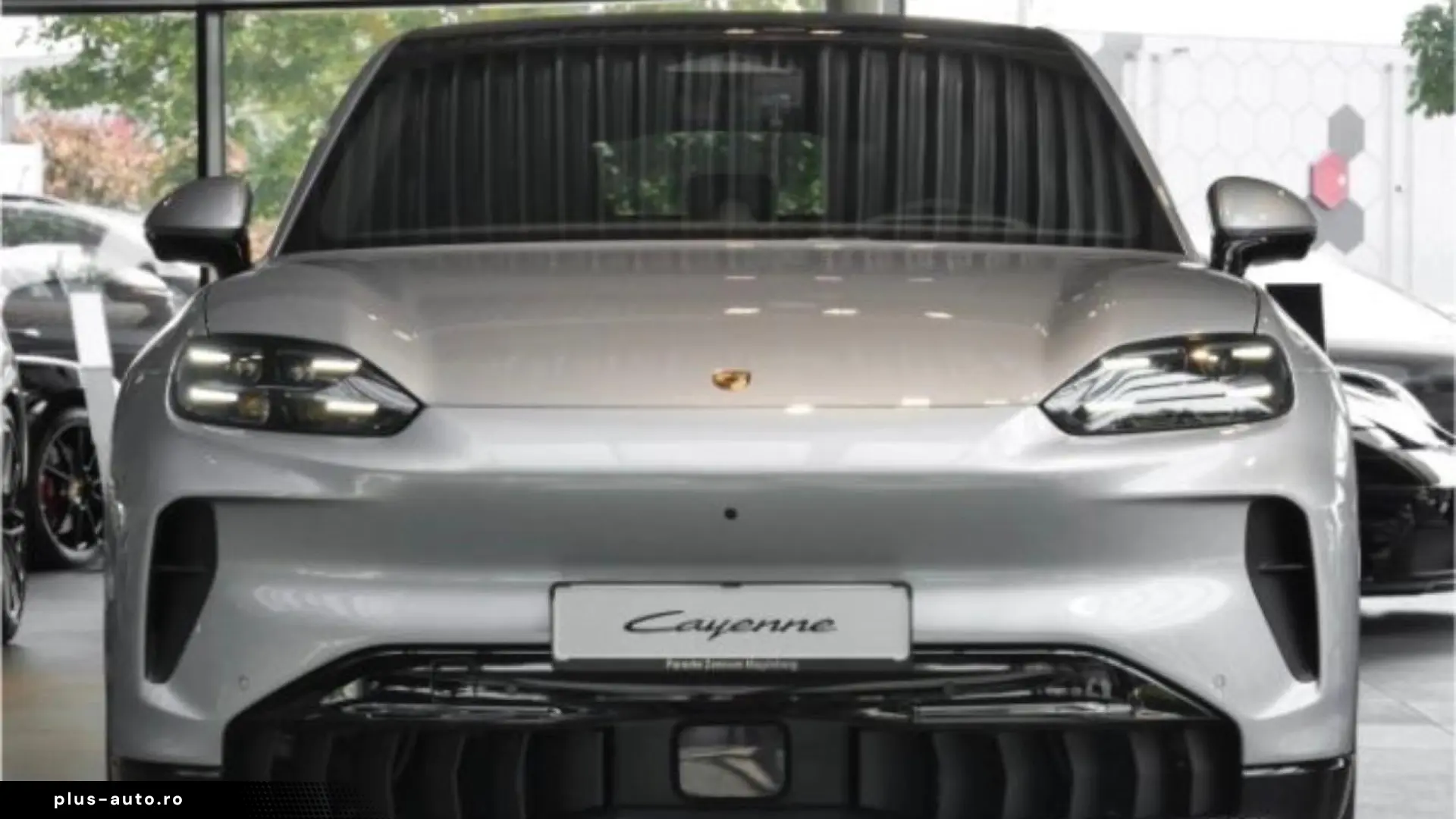 Porsche Cayenne Coupe Electric BOSE PRIVACY PARKASSIST