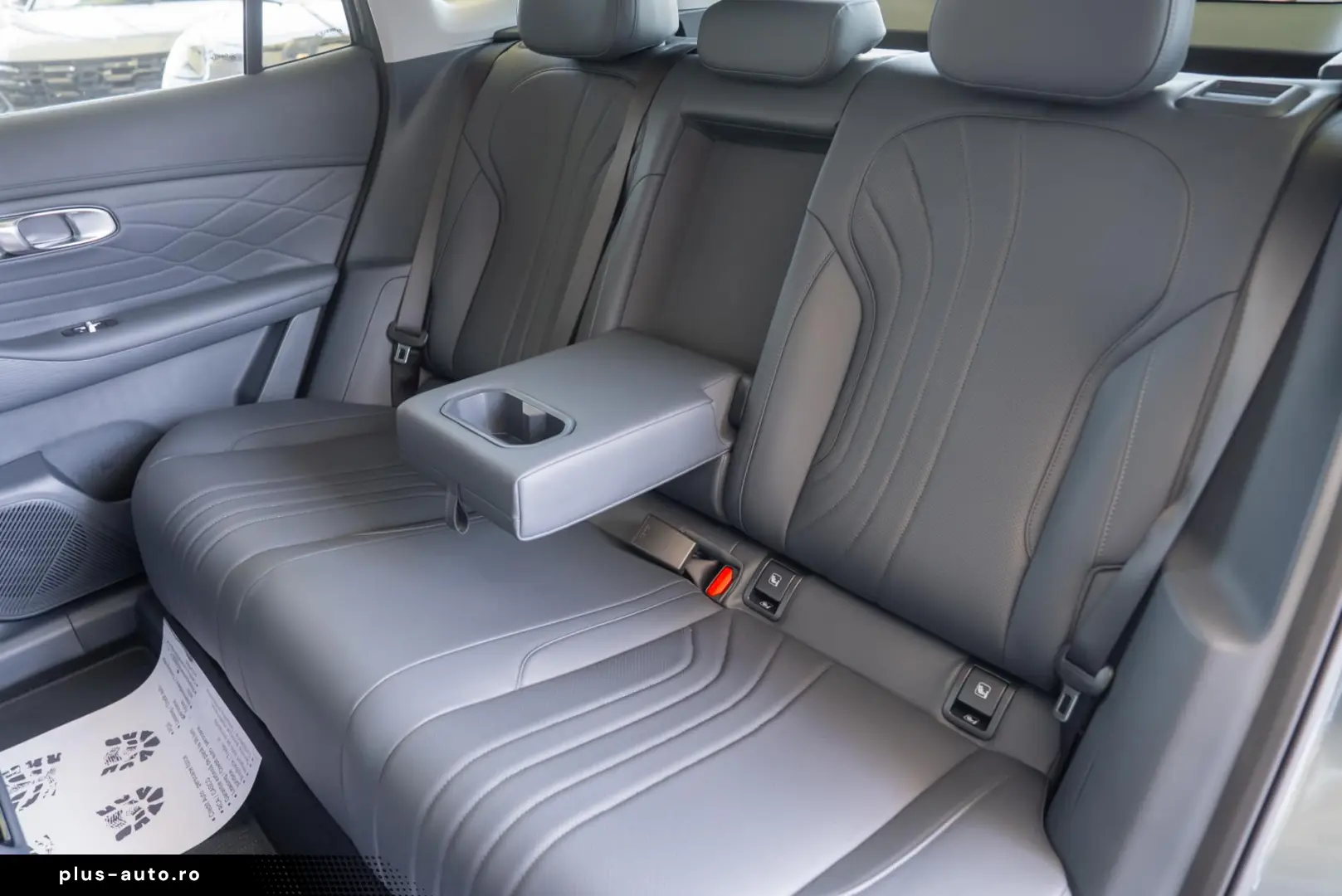 Geely STARRAY EM-i