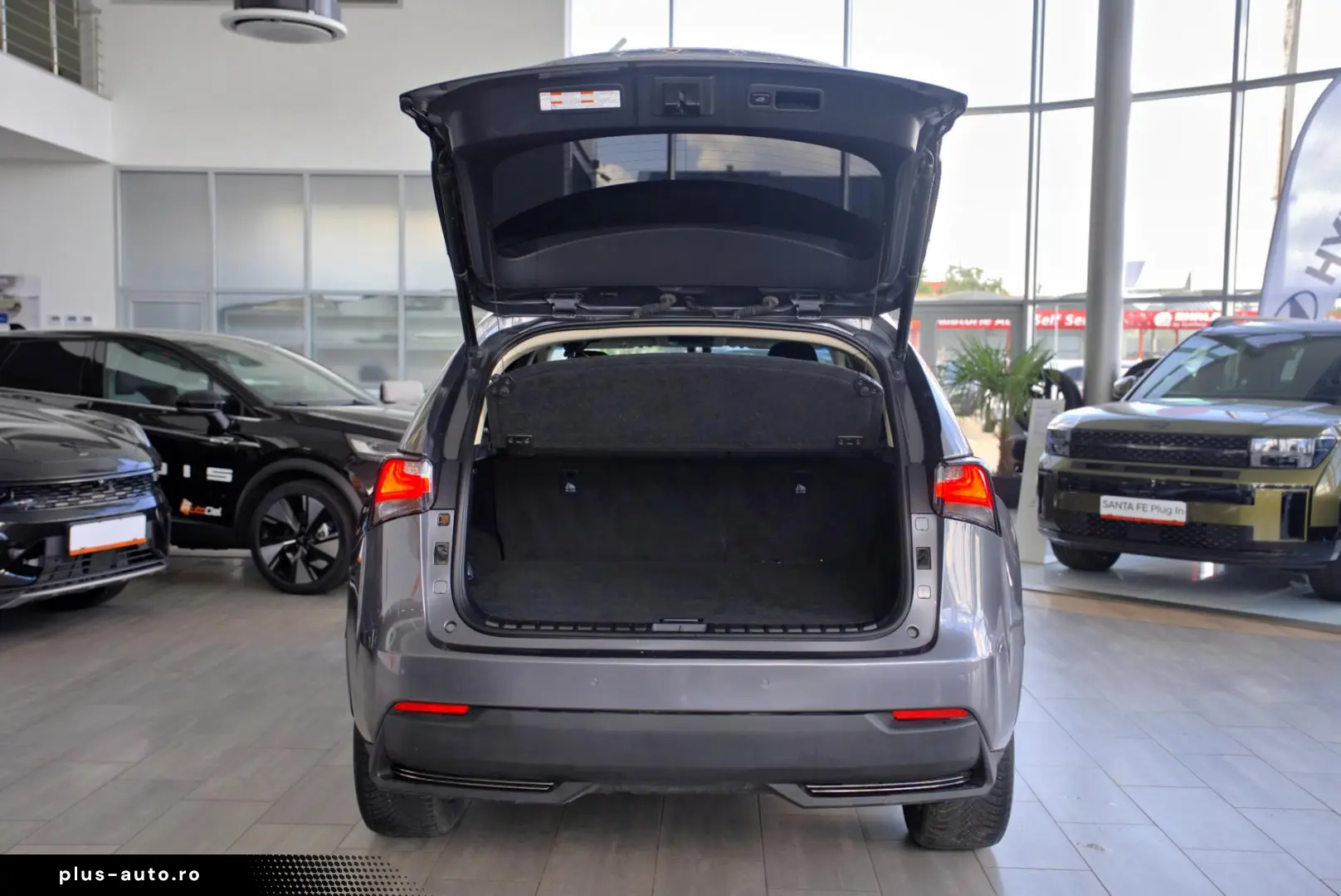Lexus NX nx300h