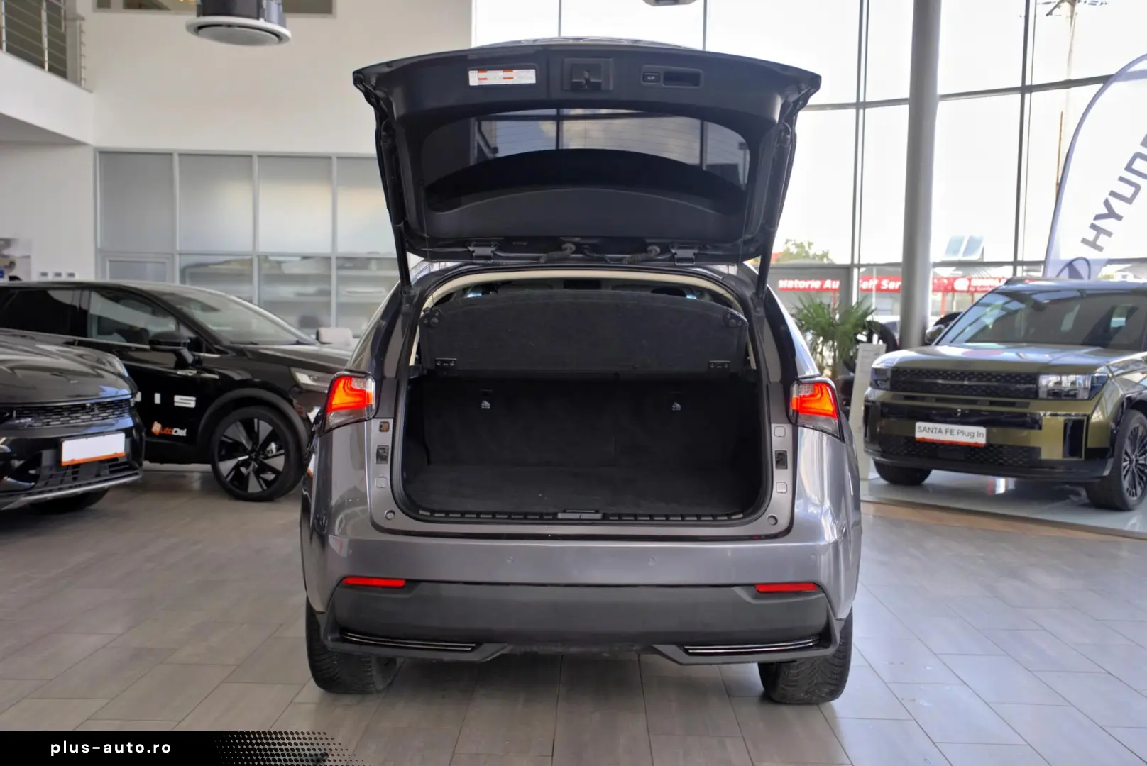 Lexus NX nx300h