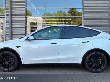 Tesla Model Y RWD