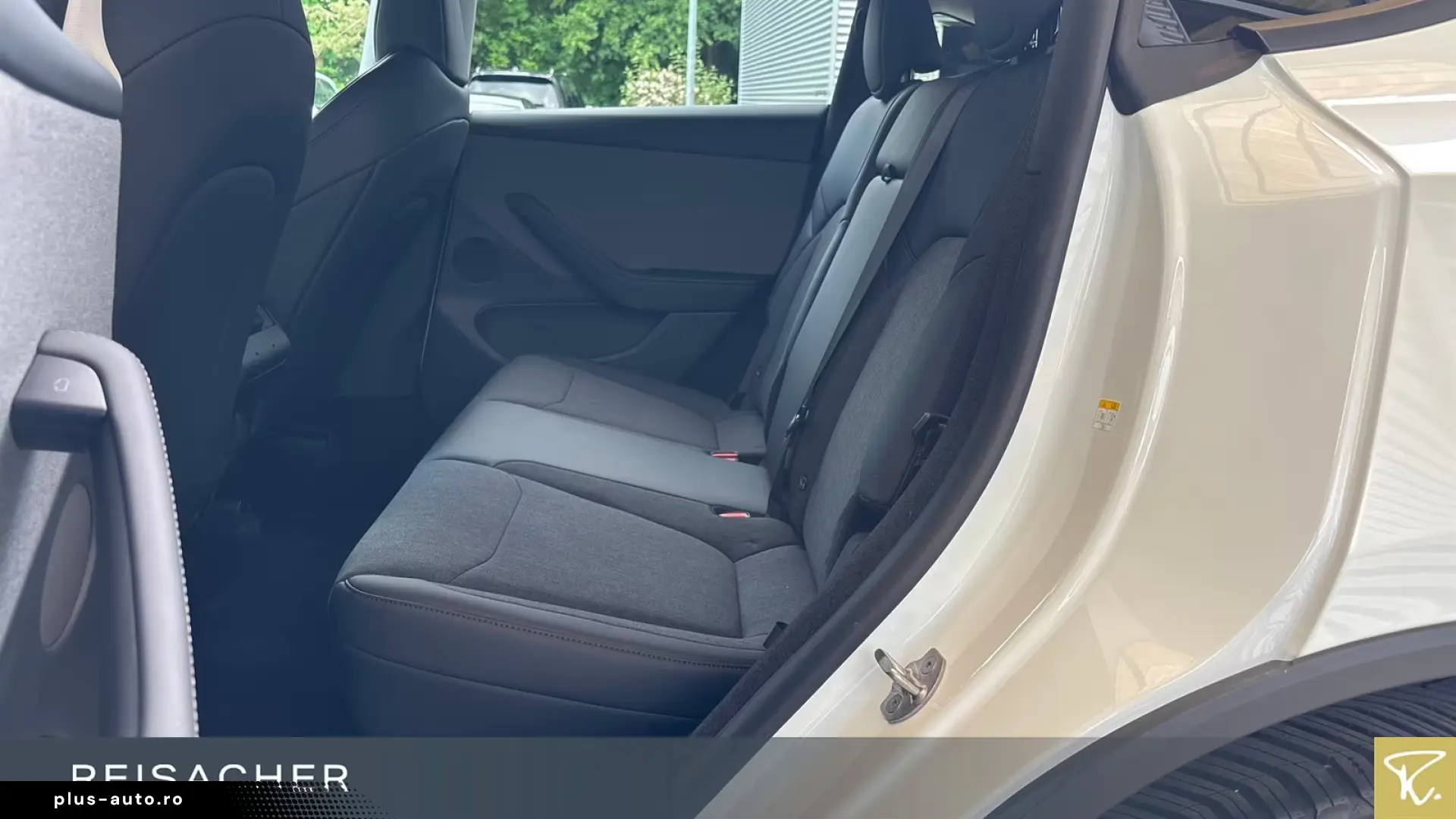 Tesla Model Y RWD