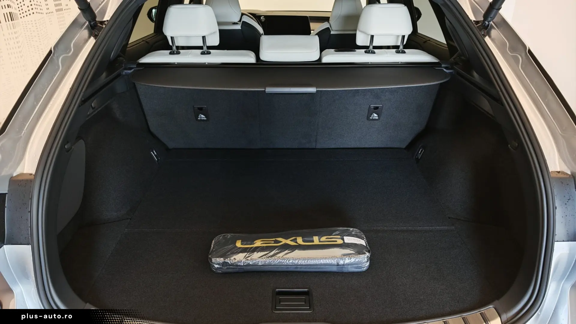 Lexus RX 500h F Sport Special Edition