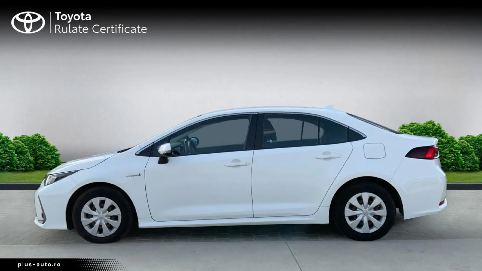 Toyota Corolla 1.8 Business Hibrid