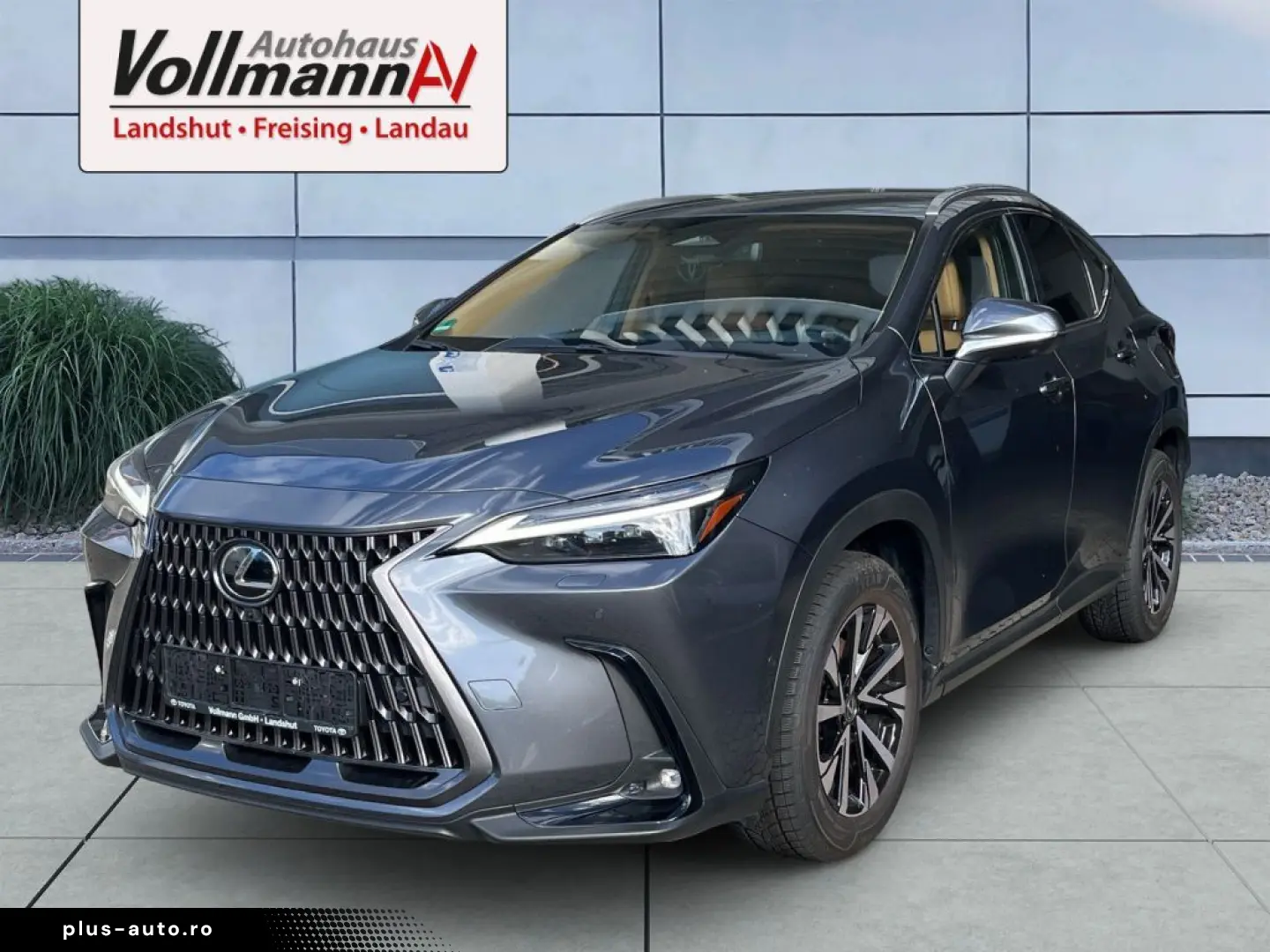 LEXUS NX 350h E-FOUR Luxury Line