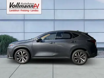 LEXUS NX 350h E-FOUR Luxury Line