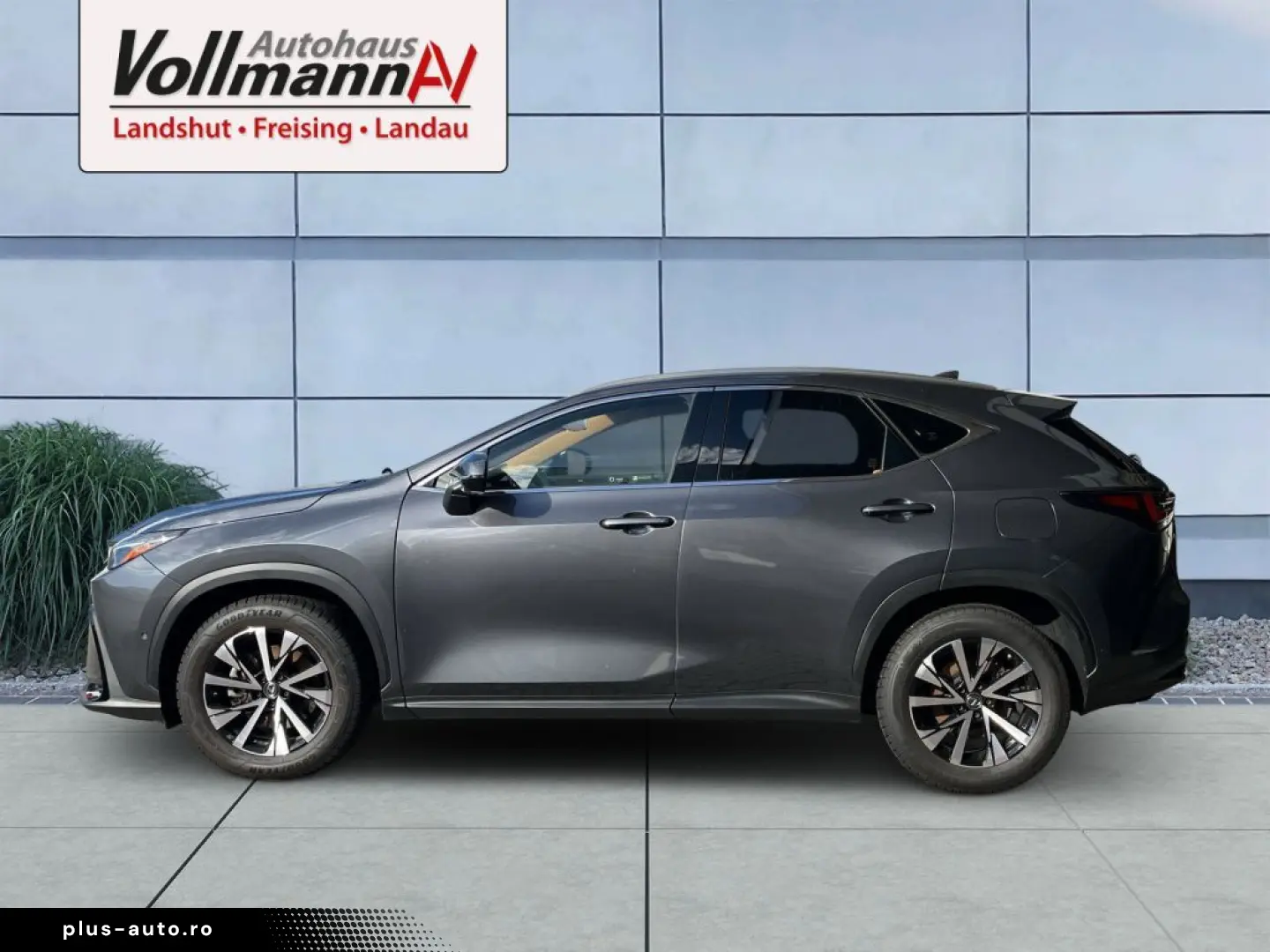 LEXUS NX 350h E-FOUR Luxury Line