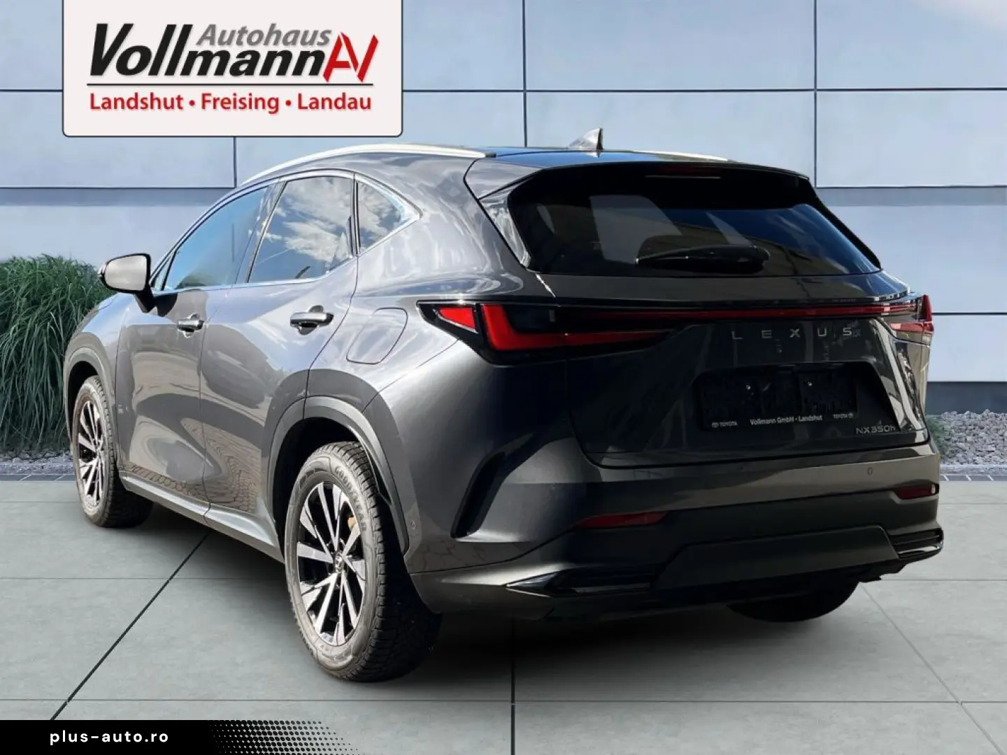 LEXUS NX 350h E-FOUR Luxury Line