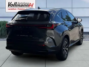 LEXUS NX 350h E-FOUR Luxury Line