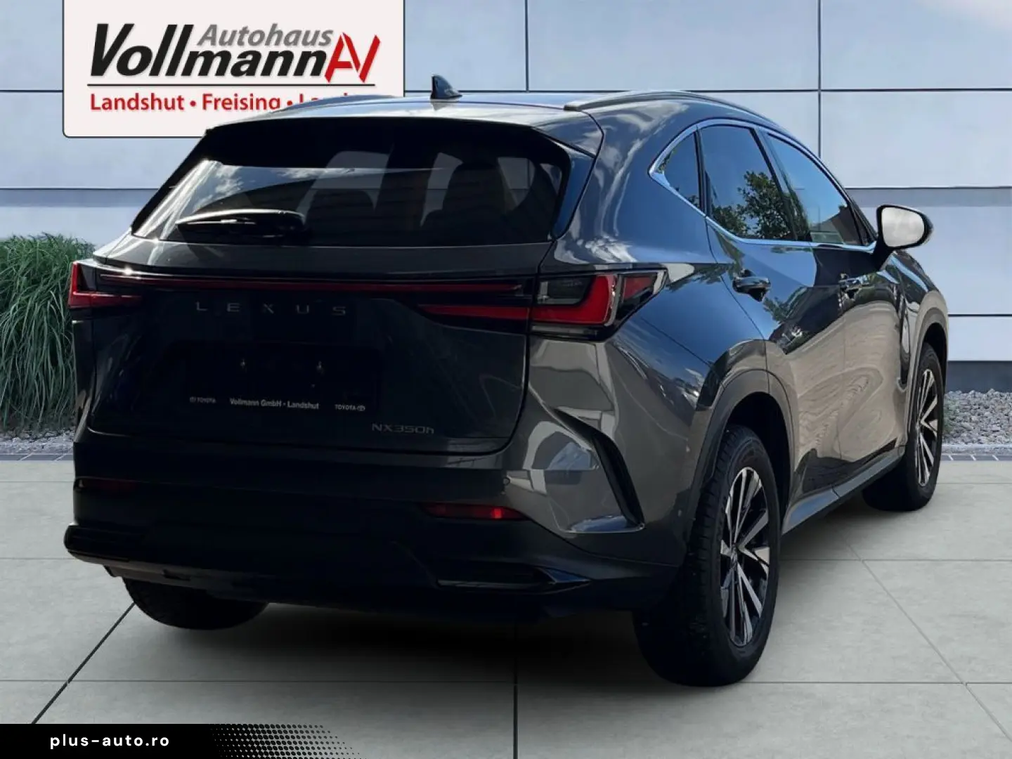LEXUS NX 350h E-FOUR Luxury Line