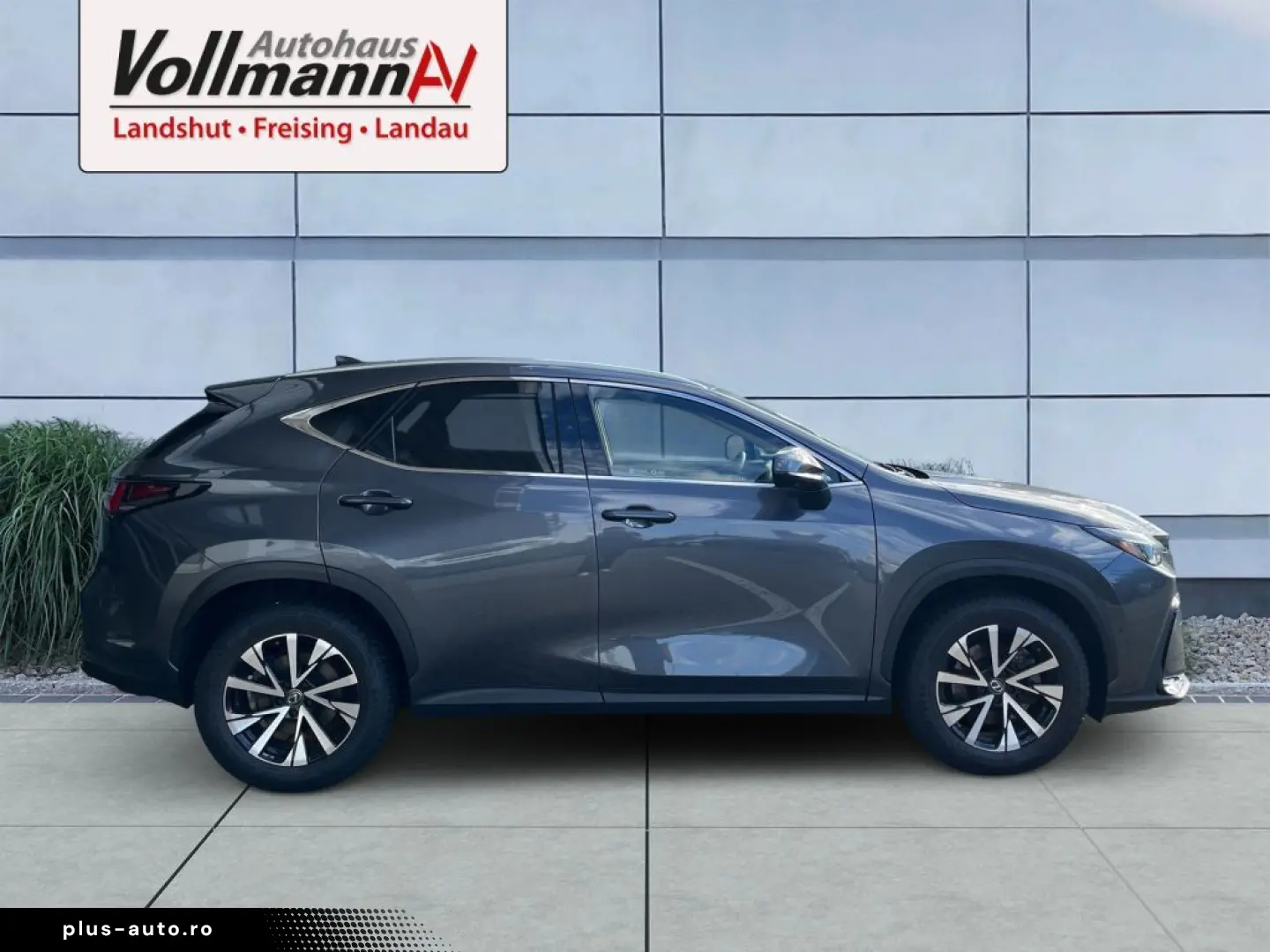 LEXUS NX 350h E-FOUR Luxury Line
