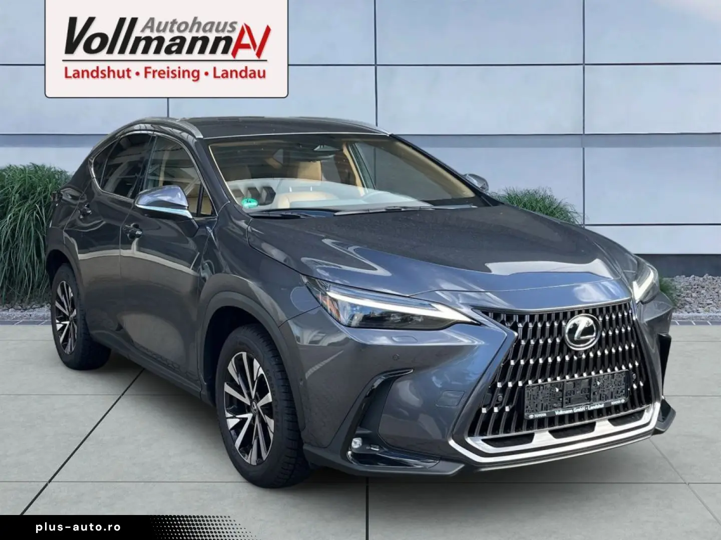 LEXUS NX 350h E-FOUR Luxury Line