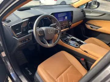 LEXUS NX 350h E-FOUR Luxury Line