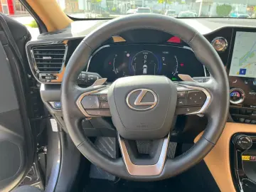 LEXUS NX 350h E-FOUR Luxury Line