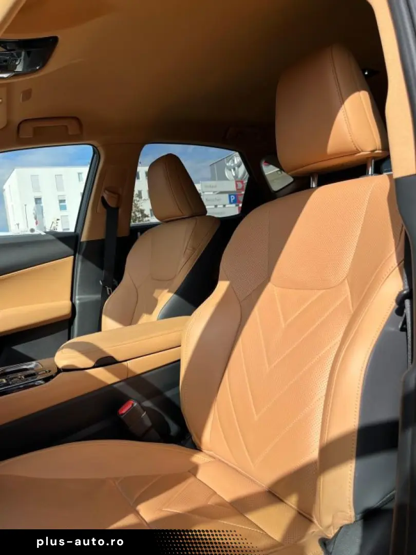 LEXUS NX 350h E-FOUR Luxury Line