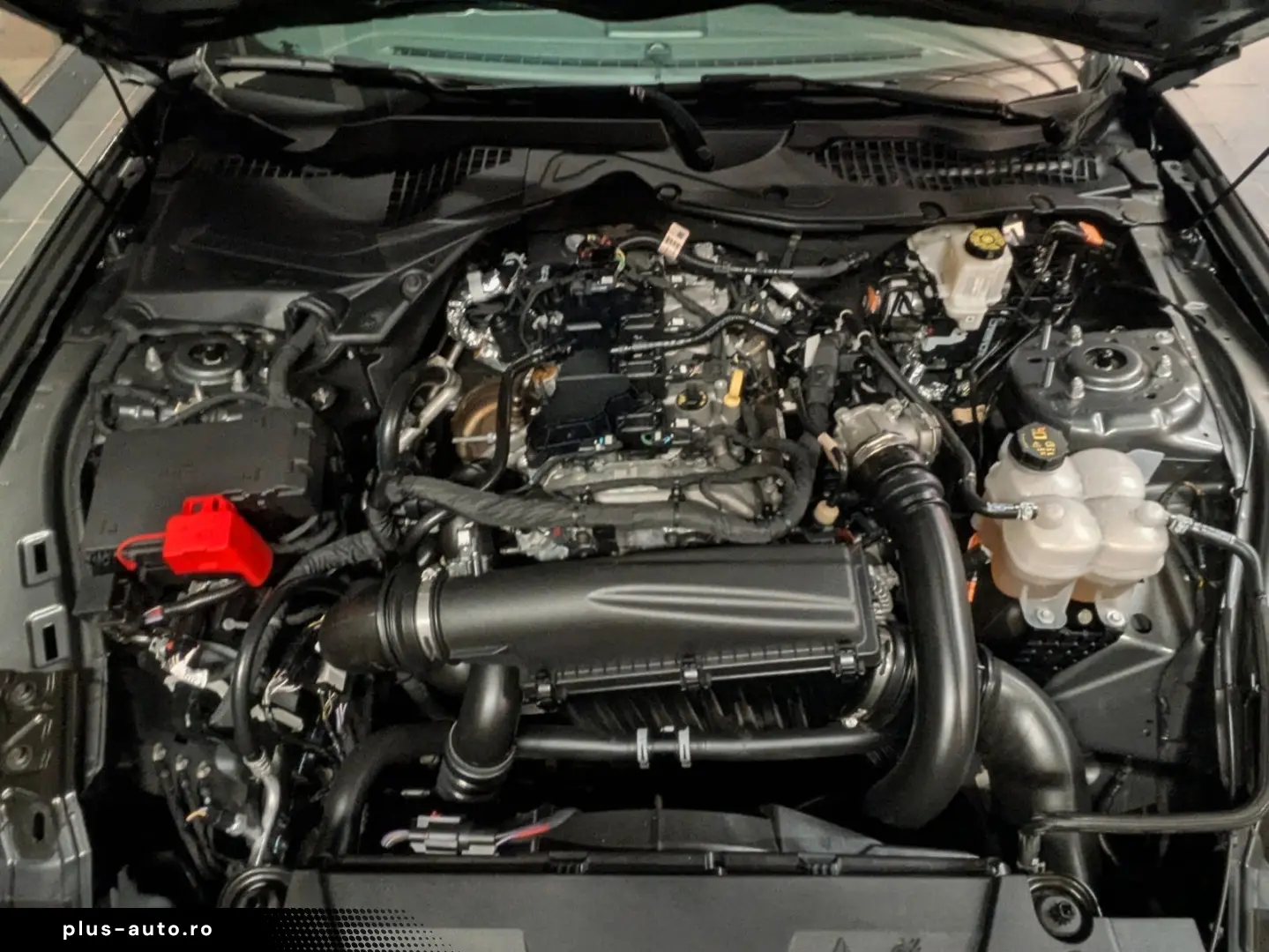 FORD Mustang Dark Horse S650 Look