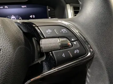 Skoda Kodiaq 2.0 TDI DSG Ambition Matrix