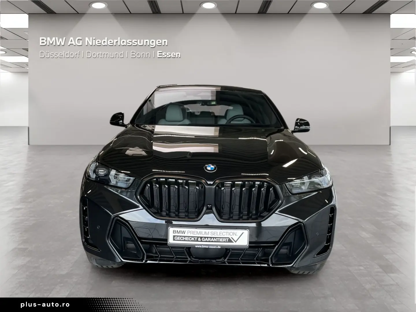 BMW X6 xDrive30d M Sport AHK Harman K Kamera LED